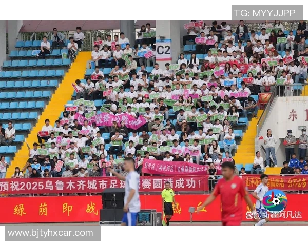 足球城的魅力与激情探索城市足球文化的深厚底蕴与未来发展潜力